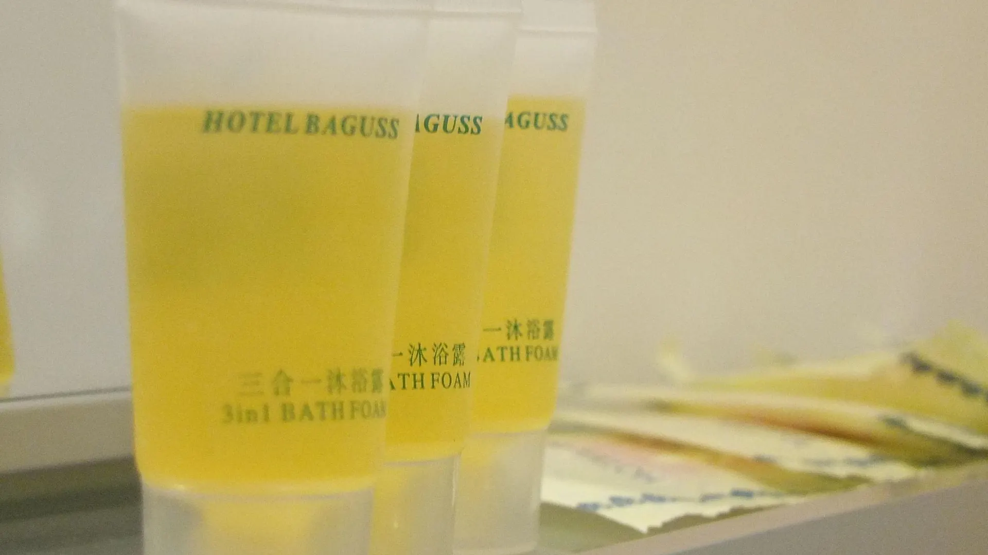 Baguss Hotel And Serviced Apartment Johor Bahru